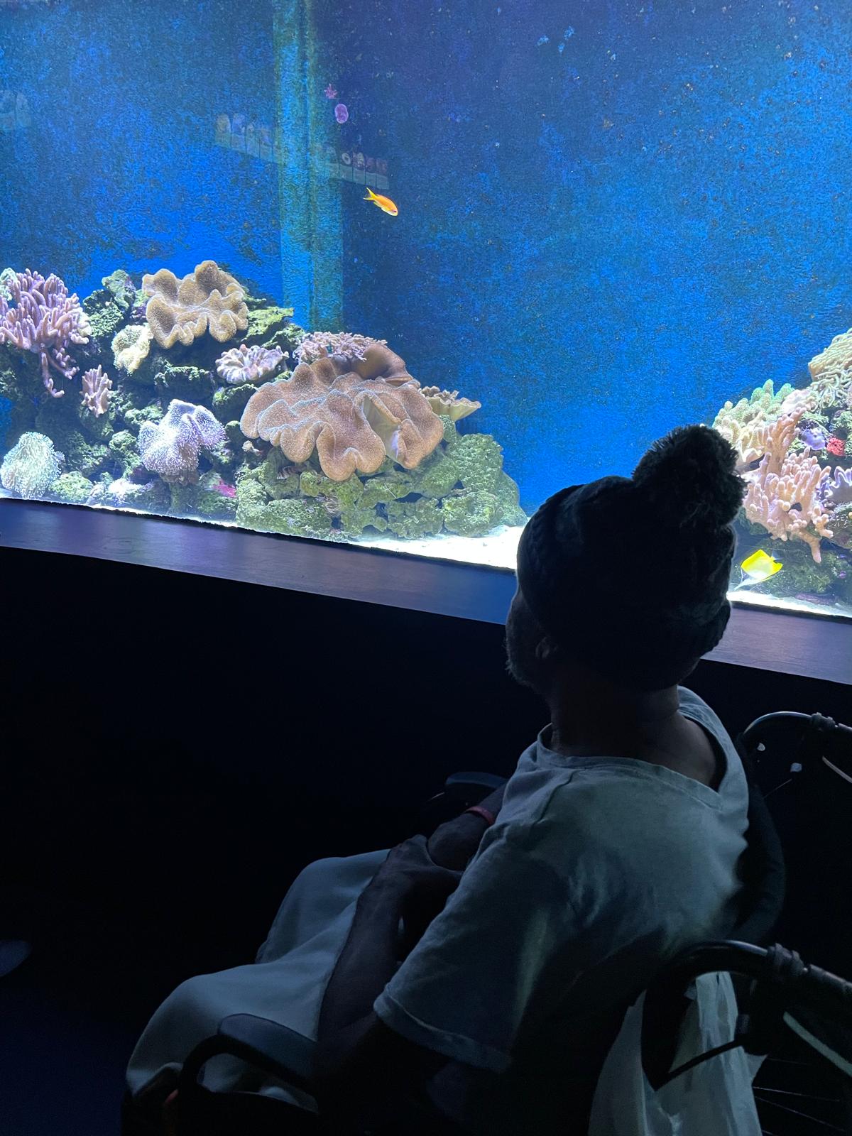 Return to Country support